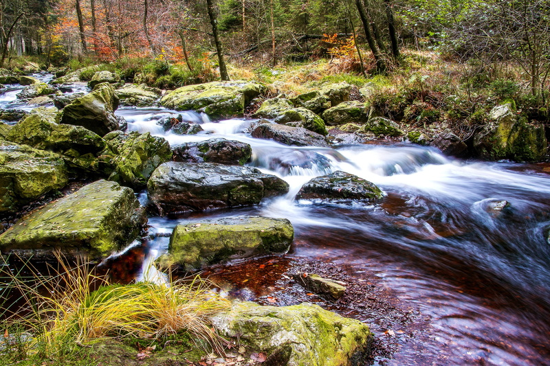 photography, flow, river la hoegne, bach, outdoors, forest, tooth of time, waters, boulders, water, silent, grasses, 4K, beauty in nature, splash, rock - object