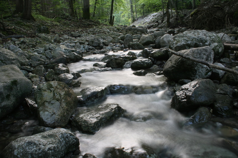 panorama, teigitsch, 1080P, rock, power in nature, environment, tree, solid, forest, silent, downloading, beauty in nature, river, alpine, spring, water running