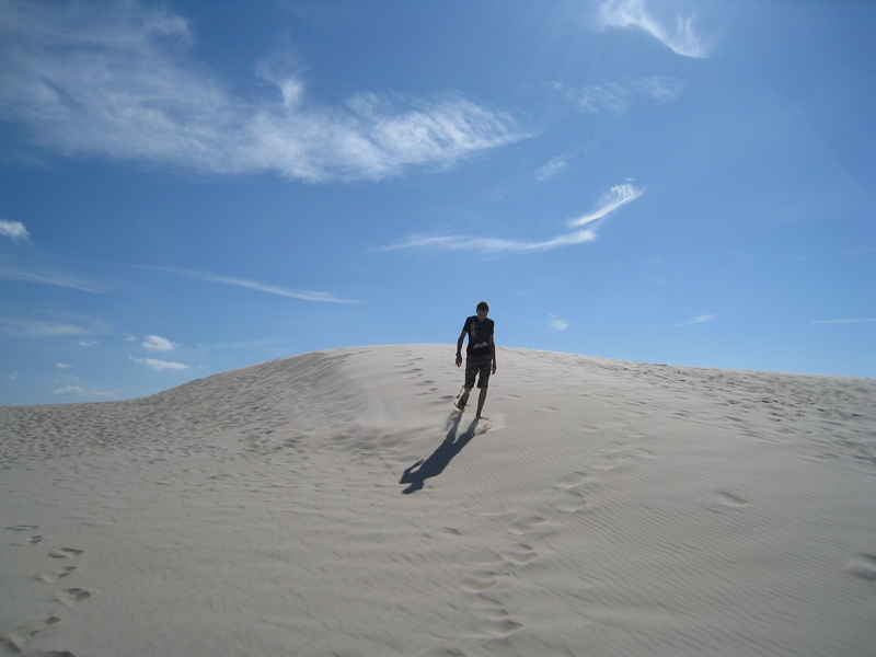sand, nature conservation, panorama, climate, land, outdoors, leisure activity, sand dune, environment, desert, natural phenomenon, full length, Jutland