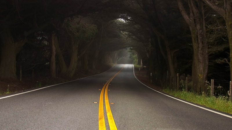 nature, 1080P, roads, forests, forest, art, x, hd