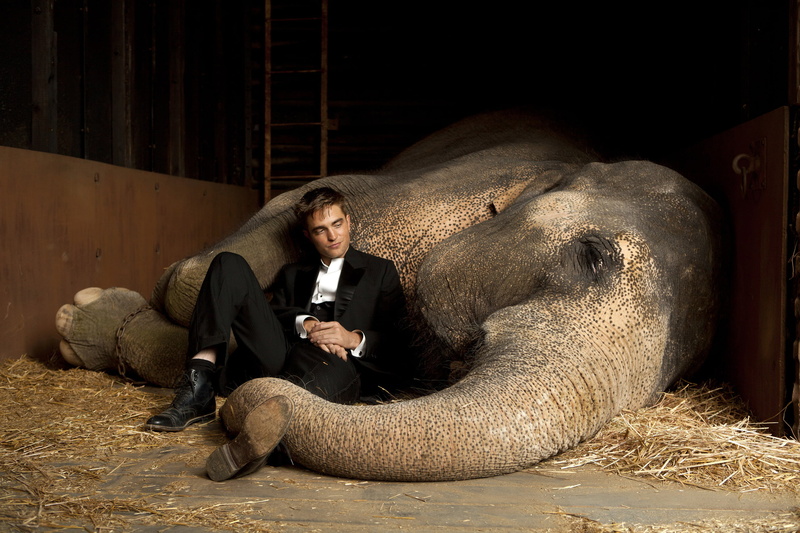 2K, Twilight, animal Trunk, animal, men, young Animal, asia, business, full length, wireless technology, real people, suit, technology, Robert Pattinson