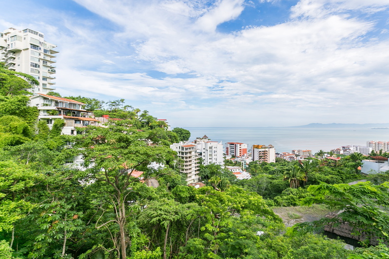 jalisco, growth, bay, plant, nature, high angle view, apartment, coast, architecture, city, scenic, building exterior, sunshine, outdoors, landscape, sea