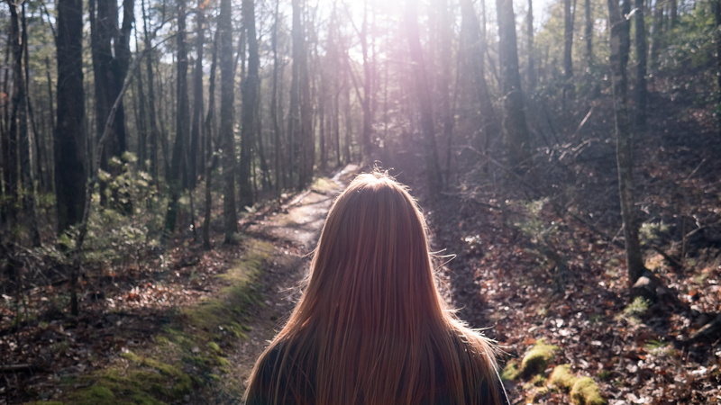 national park, trees, person, real people, lifestyles, day, land, red hair, forest, woodland, trail, long hair, nature, one person, people, 4K, backlight