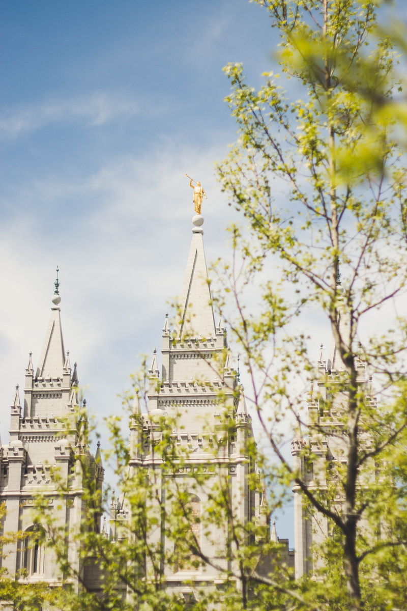 castle, blossom, white, cloud - sky, religion, statue, built structure, worship, tree, blue sky, low angle view, cloud, window, skyscraper, salt lake city