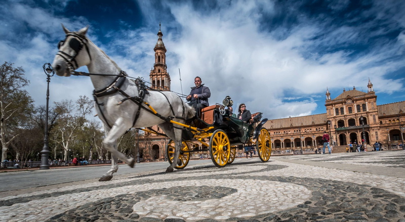 pets, city, square, horse, carriage, 4K, building, representation, sevilla, religion, sky, design, traditional, street, tourist, the past, mammal, animal representation