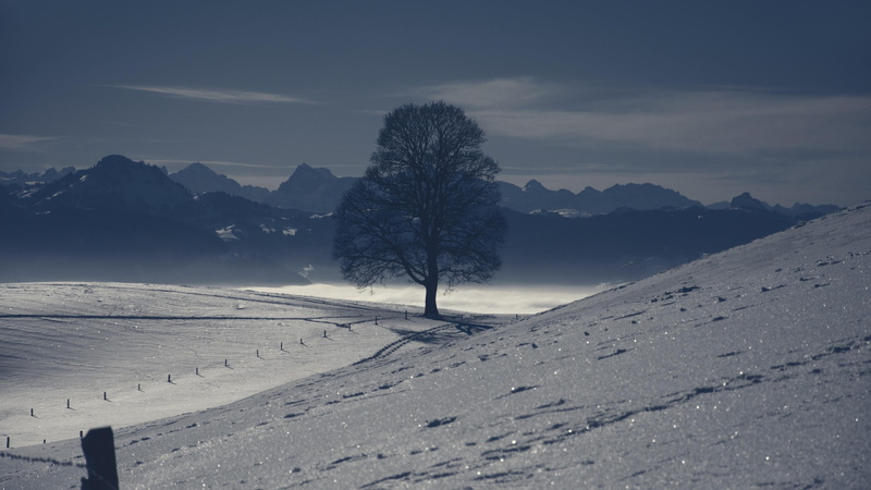 landscape, 4K, snowy, monochrome, twilight, winter