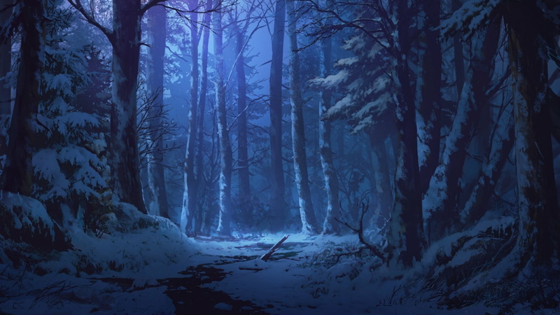 1080P, tranquil scene, cold temperature, darkness, tranquility, woodland, tree, snow, plant, frozen, no people, non-urban scene, twilight, land, forest