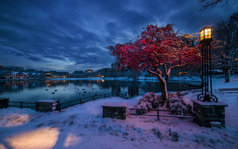 Rogaland, evening twilight, lantern, winter, Stavanger, snow, Norway, 1080P, lights