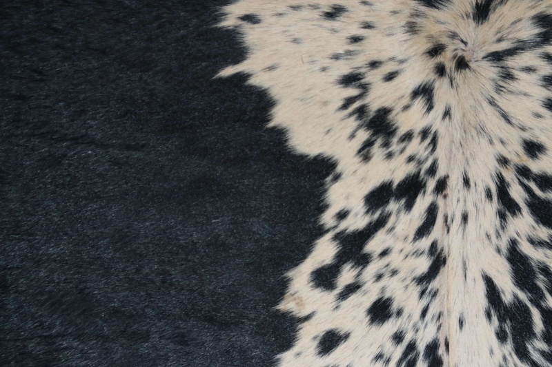 spotted, dots, animal hair, animal body part, animal themes, feline, cow, cat, big cat, leopard, clothing, 4K, coat, hair, fur, black and white, animal