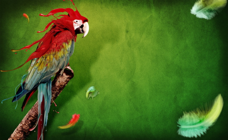 day, animal, painting, animals in the wild, 2K, vertebrate, black, green color, Creative, one animal, no people, perching, Abstract, animal wildlife, water