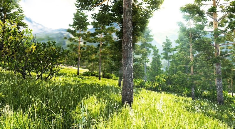 nature, aero, beautiful, cold, grasssun, warm, grass, beatuiful, field, forest, 3D, Artistic, games, green, 1080P, trees, engine