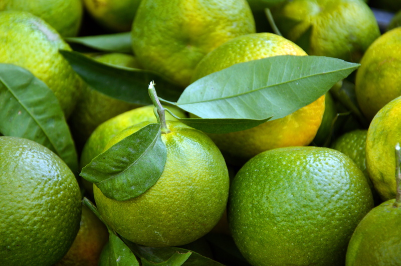 day, green, nutrition, 5K, citrus fruits, leaf, nature, no people, wellbeing, still life, close-up, ripe, fruits, healthy eating, fruit, food and drink