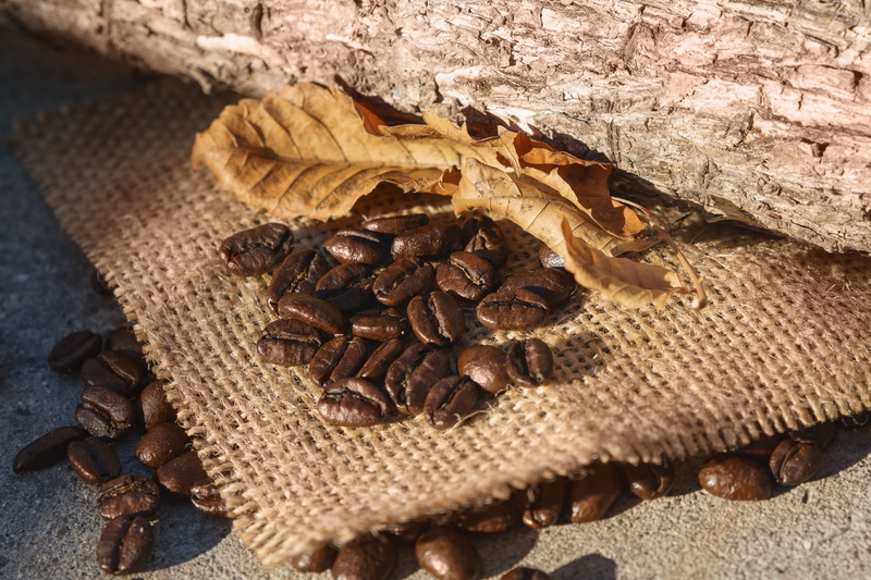 sack, still, coffeebean, jute, brown, still life, wood - material, no people, nature, photography, outdoors, percypham, leaf, dried, zeiss, life, freshness