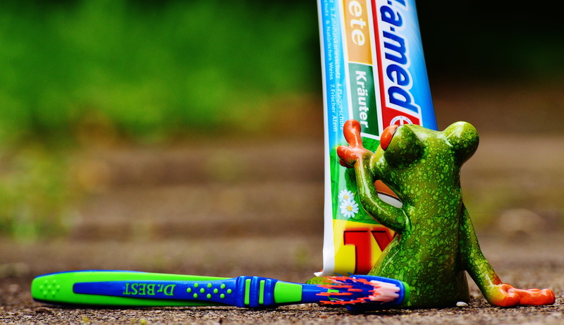 day, care, dental care, funny, 5K, green, cute, outdoors, tube, text, label, hygiene, bless you, reptile, western script, animal themes, tooth, vertebrate