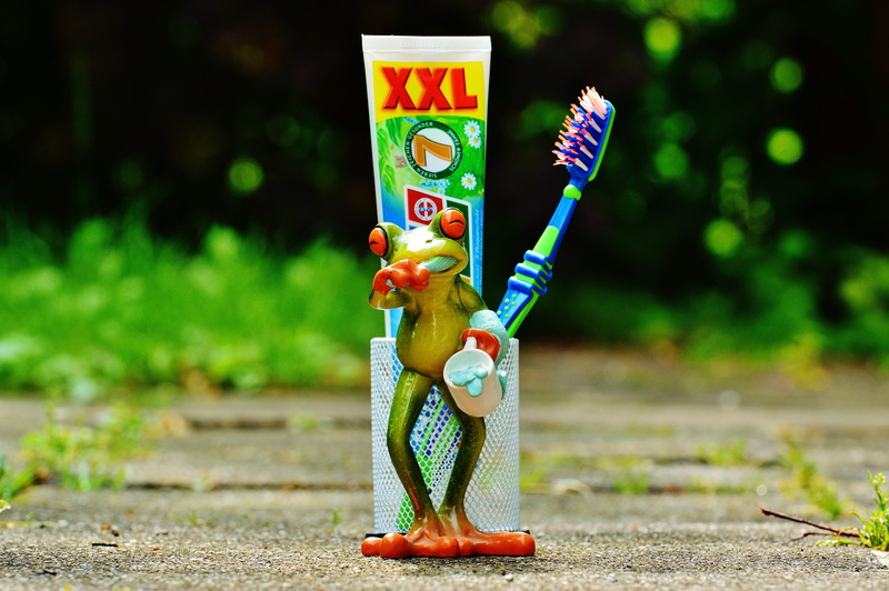 creativity, dental care, road, art and craft, nature, dental hygiene, plant, food and drink, toothbrush, brush, care, human representation, toy, brush head