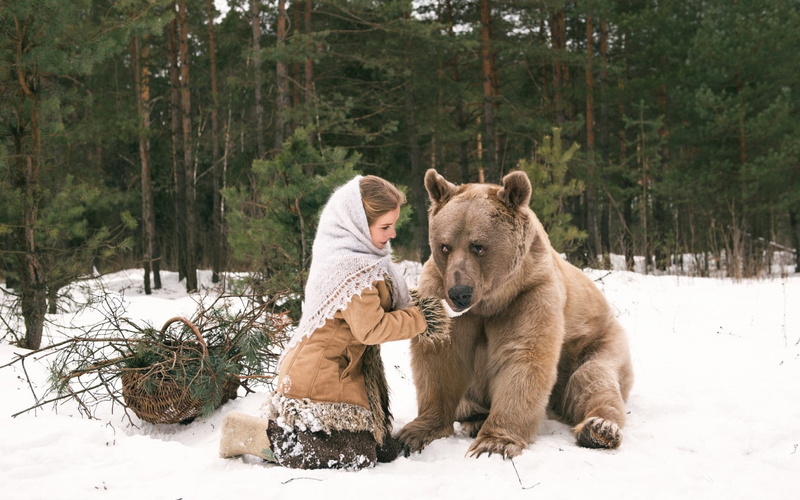 one animal, land, clothing, woodland, animals, warm clothing, domestic animals, pets, animal, mammal, outdoors, winter, forest, bears, day, snow, domestic