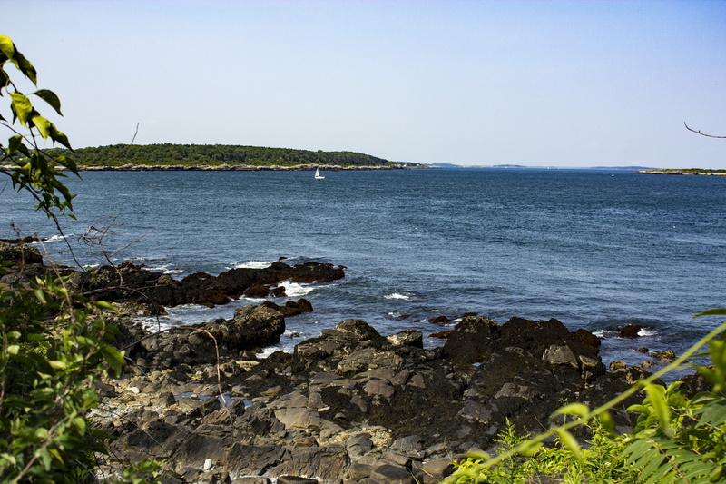 portland, rock, shore, sailboat, scenic, shoreline, water, coast, no people, sea, plant, beauty in nature, atlantic, head, park, rock - object, coastline
