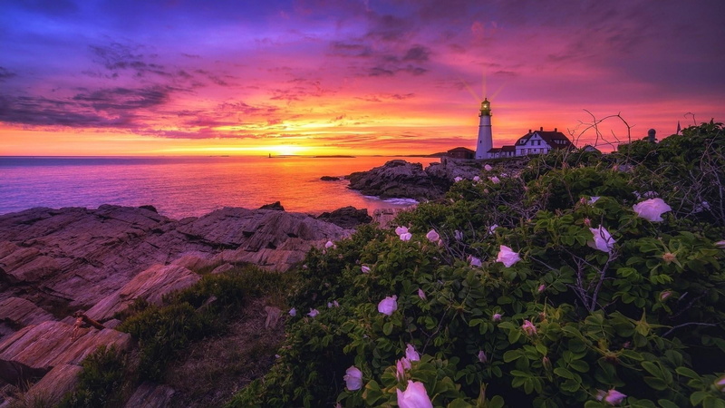 flower, building, sky, scenics - nature, usa, dusk, horizon, lighthouse, outdoors, cloud - sky, plant, portland head light, maine, 1080P, purple, no people