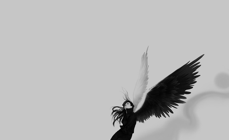 motion, Vector Art, mid-air, feather, white, black, copy space, animal, illustration, sky, flapping, animals in the wild, vertebrate, angel, bird, Aero