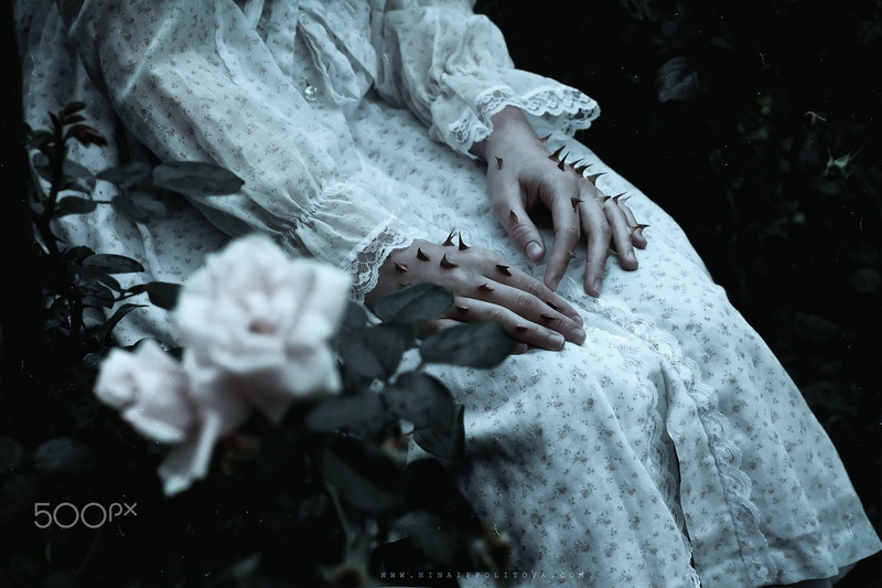 no people, 720P, dark fantasy, nature, underwater, flower, thorns, sea life, marine, Shirø Igarashi, flowering plant, sea, day, rose, hands, undersea
