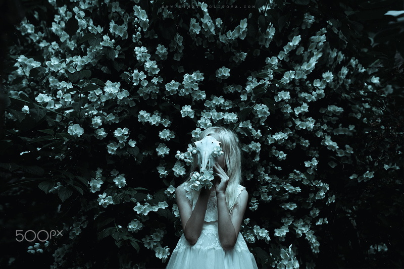 human face, young adult, skull, dark fantasy, dark, real people, standing, hairstyle, young women, 720P, plant, white hair, front view, obscured face