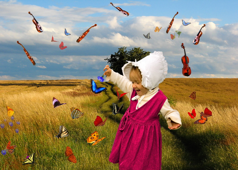 violin, digi-art, 5K, one person, land, butterflies, sky, meadow, field, dynamic, beauty in nature, nature, mood, plant, outdoors, cloud - sky, sunlight
