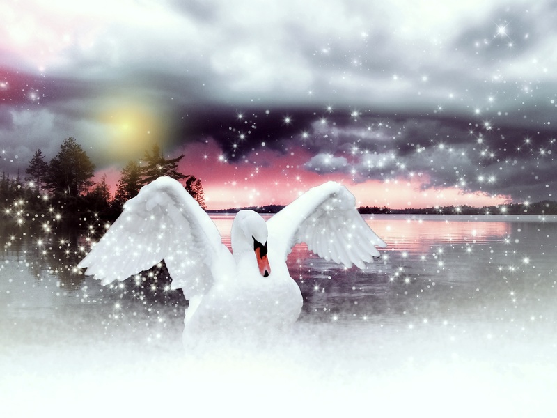 motion, animal wildlife, digital, cloud - sky, sky, flying, animal, outdoors, water, nature, elegant, full length, winter, lake, day, animal themes