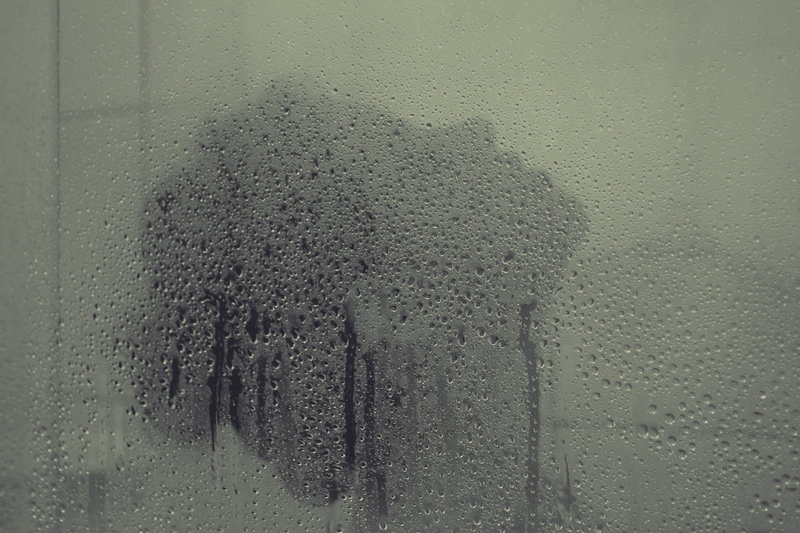 condensation, water on glass, 1080P, rainy season, shower, close-up, no people, textured, transparent, glass, window, pattern, full frame, backgrounds