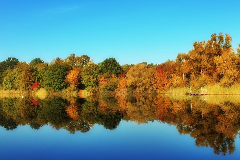 autumn, river, trees, indian summer, nature, golden autumn, lake, clear sky, scenics - nature, weather, reflection lake, water, beauty in nature, day, waterfront