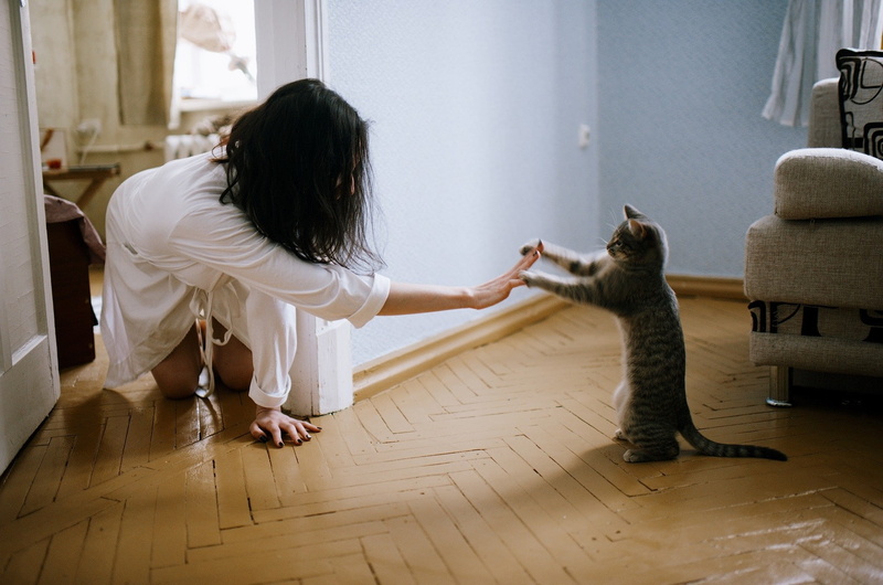 real people, flooring, domestic animals, mammal, 720P, domestic, 500px, adult, casual clothing, one person, women, hair, wood, one animal, animals, cat