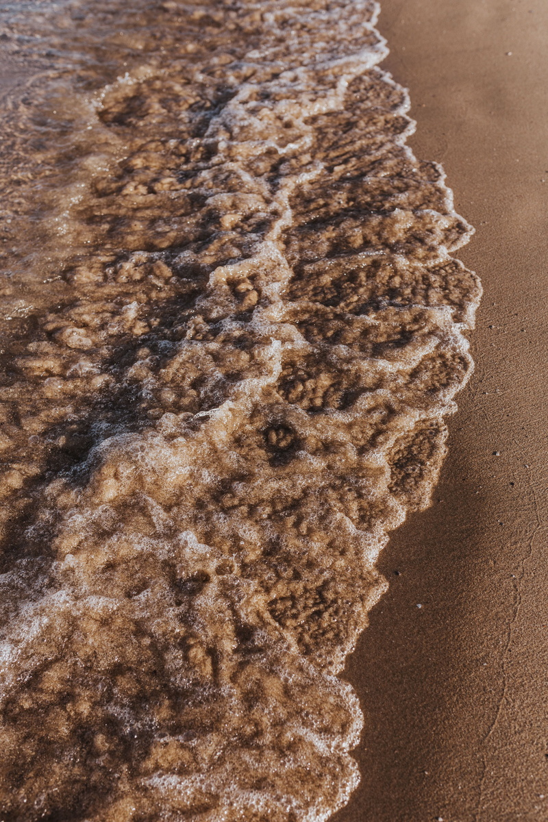 close-up, Soft, wave, food and drink, day, sand, nature, baked, high angle view, still life, sandy, indoors, 5K, sweet food, water, summer, outdoors, no People