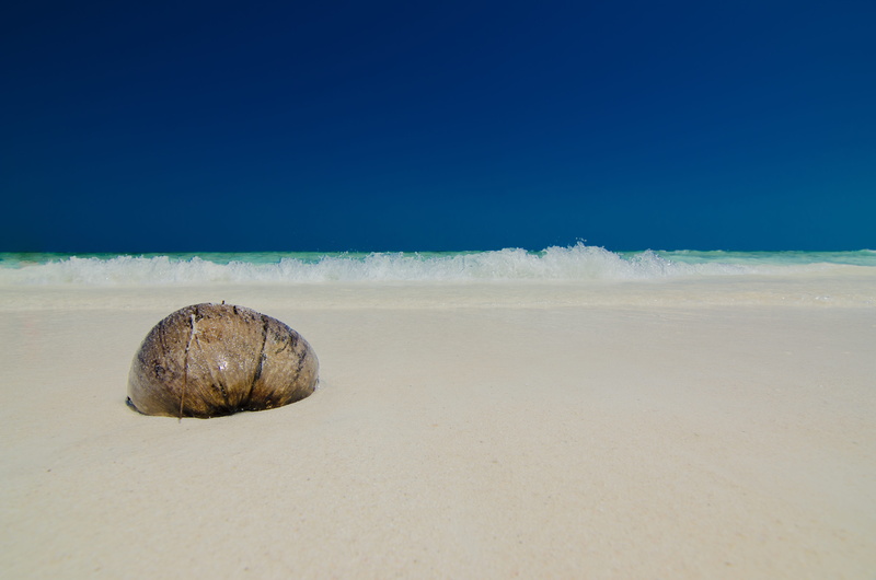 spectacular, sand, white, copy space, seashore, sea water, horizon over water, outdoor, holidays, nature, blue, the island, in the sand, brown, shell, sharon lewis