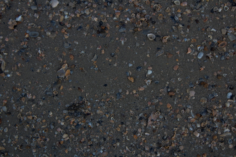 brown, sandy, shine, road, beaching, orange, july, dirt, textured, high angle view, gray, shells, directly above, warm, yellow, pattern, textured effect
