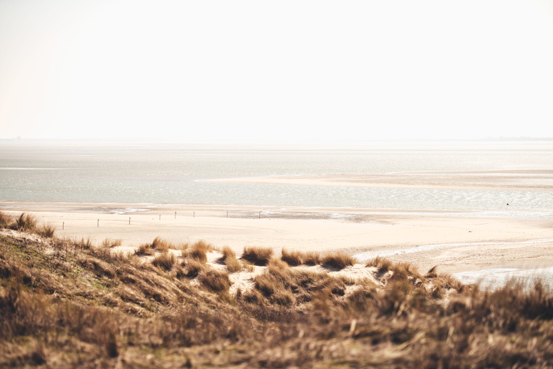 sand, tilt, relax, sandy beach, beach life, tranquil scene, plant, rural scene, shift, 5K, holiday, brown grass, scenics - nature, beach, photo, grass