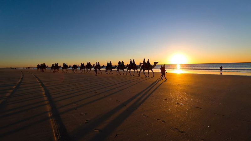 brown, sunlight, sunset, land, nature, silhouette, leisure activity, sky, lifestyles, beauty in nature, sandy, clear sky, water, large group of people