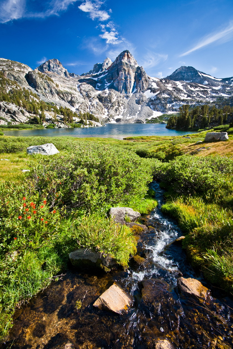 daytime, lady  lake, flowers, rock - Object, photo, water, Rae Lakes, outdoors, near, 2K, snow, river, indian paint, nature, lake  river, california, landscape