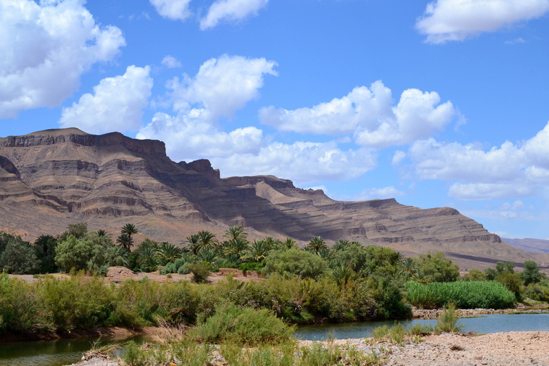 oasis, landscape, morocco, scenics - nature, cloud - sky, tranquil scene, no people, 4K, tranquility, idyllic, plant, environment, maroc, land, day, remote