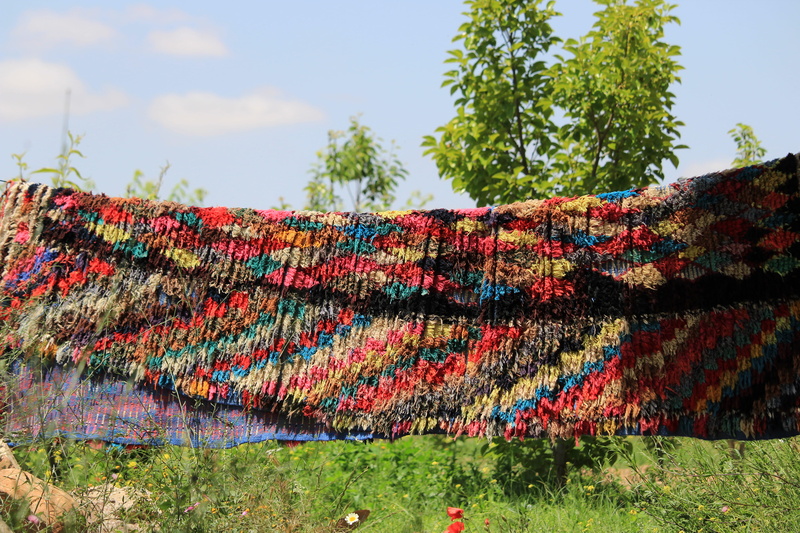 hanging, multi colored, tree, makhefamane, growth, beautiful, grass, 5K, textile, sky, day, morocco, sunlight, no people, life, color, green color, field