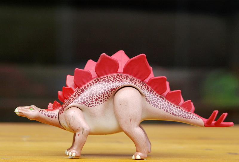 one animal, toys, nature, playmobil, full length, animal wildlife, Stegosaurus, representation, close-up, red, pink color, outdoors, focus on foreground