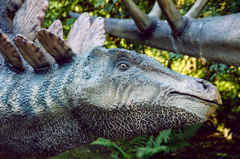side view, vertebrate, outdoors, day, crocodile, animal mouth, animal themes, mammal, gray, profile view, animals in the wild, focus on foreground, animal body part