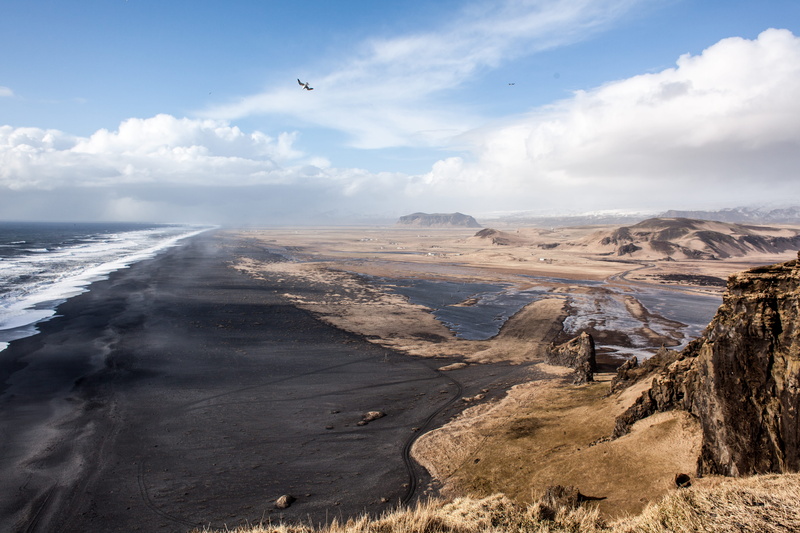 black sand, landscape, dyrhólaey, animal, mountain, animal themes, iceland, seascape, tranquility, arid climate, cloud - sky, no people, land, high, ísland