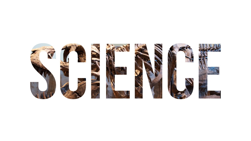 communication, still life, science, nature, typography, copy space, arrangement, capital letter, text, single word, creativity, script, letter, dinosaurs
