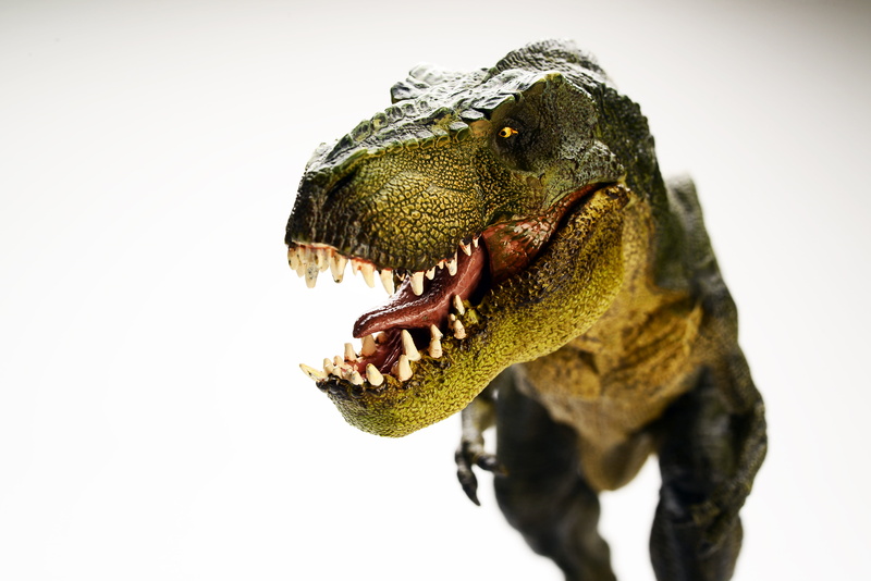 5K, rex, animal wildlife, focus on foreground, scavenger, mouth, close-up, studio shot, reptile, one animal, toy, animal themes, animal head, anger, green