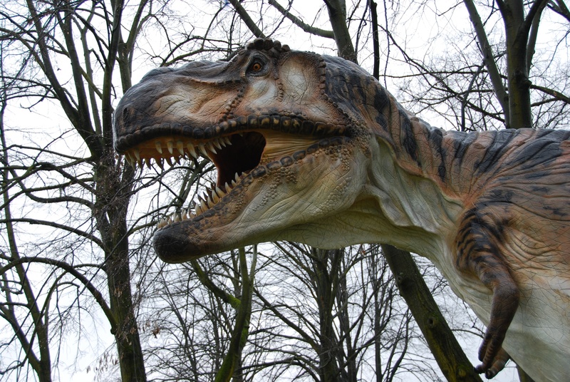 animal head, animal themes, one animal, animal mouth, low angle view, monza park, outdoors, no people, teeth, day, animals in the wild, sky, mouth open