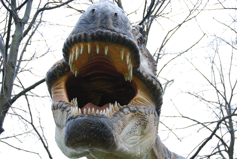 animal head, no people, Teeth, bare tree, close-up, creativity, animal wildlife, T-Rex, representation, mouth open, Dinosaur, sculpture, outdoors, one animal
