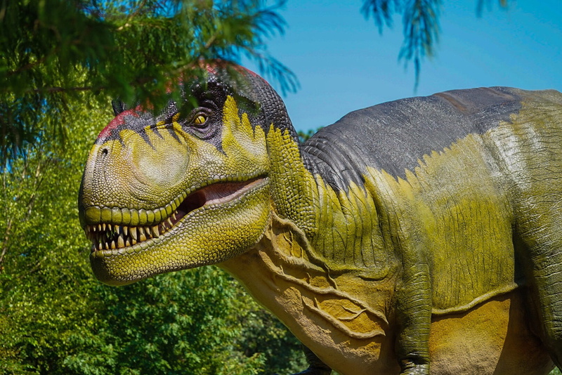 animal scale, one animal, animals in the wild, 2K, iguana, jurassic, no people, mouth open, t-rex, side view, plant, animal, dinosaur, close-up, sea, animal themes