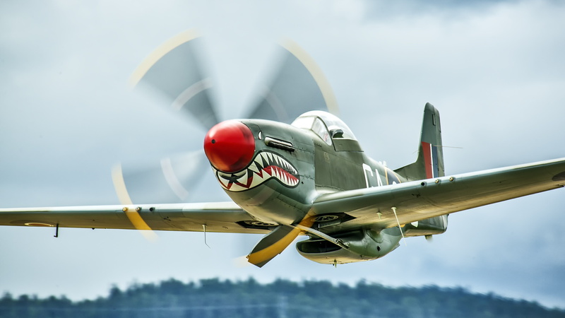 motion, mustang, transportation, day, vehicle, flying, airplane, outdoors, plane, mode of transportation, aircraft, warplane, fighter plane, force, air vehicle