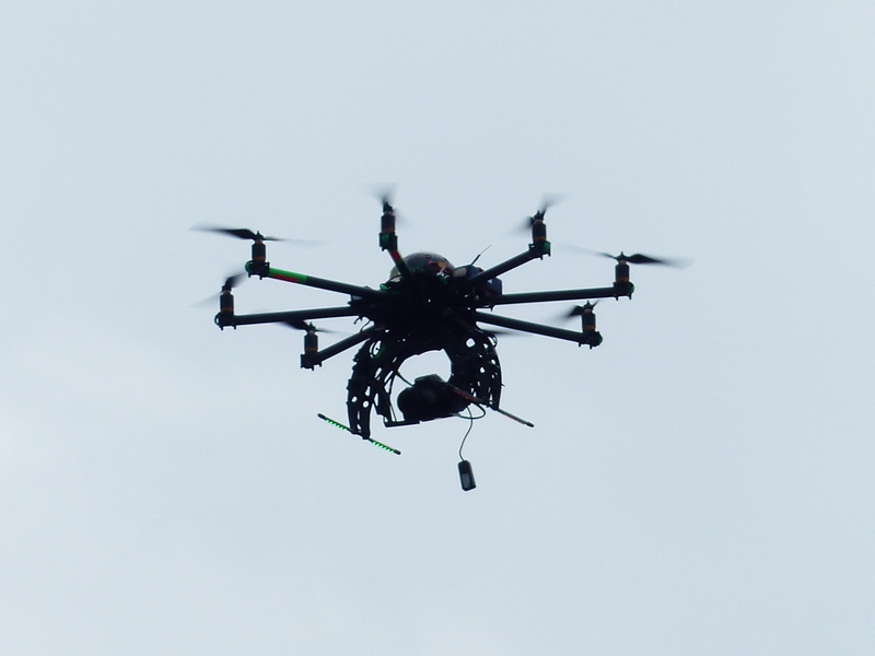 animals in the wild, quadricopter, film industry, floating platform, rotors, daytime, Camera, flying machine, studio shot, invertebrate, fly, Helicopter