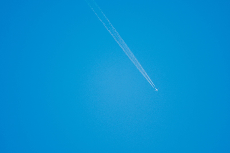 outdoors, animal, flare, light, aerobatics, launch, adventure, low angle view, vapor trail, nature, airplane, flying, no people, leisure activities, vehicle