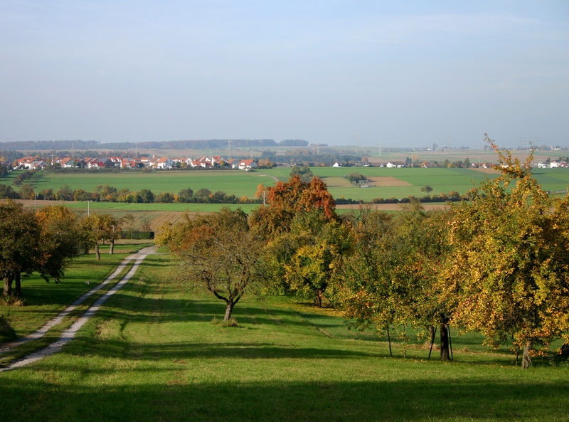 village, nature, outskirts, colorful, field, homes, landscape, 2K, tree, outdoors, rural scene, autumn, sky, no people, harvest, scenics - nature, southern germany